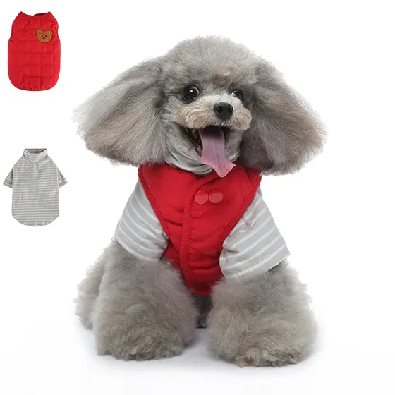 A gray poodle wearing a red vest over a striped shirt, with matching red and striped pet clothes shown in the background.