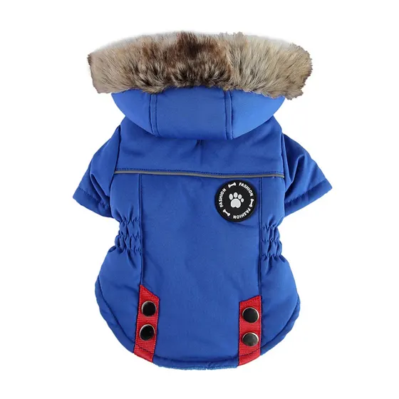 A blue hooded winter jacket for a pet with a faux-fur trimmed hood and red side panels.