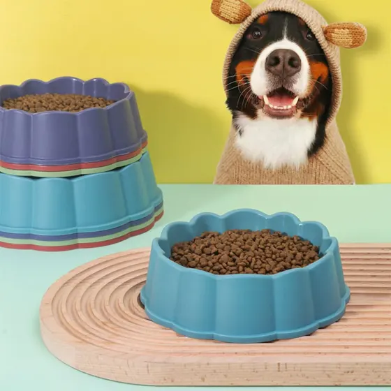 Blue and purple scalloped dog bowls filled with kibble, one on a wooden stand, with a dog in a knitted bear costume in the background.