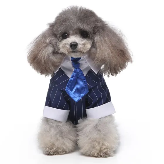 A poodle wearing a blue pinstripe shirt and tie costume