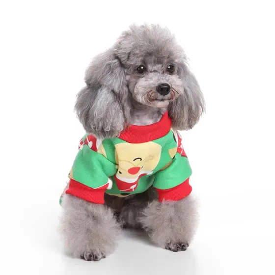 A grey poodle wearing a green and red patterned sweater sitting on a white background.