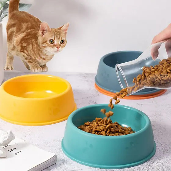 Orange tabby cat watching as kibble is poured into teal bowl next to yellow and blue bowls