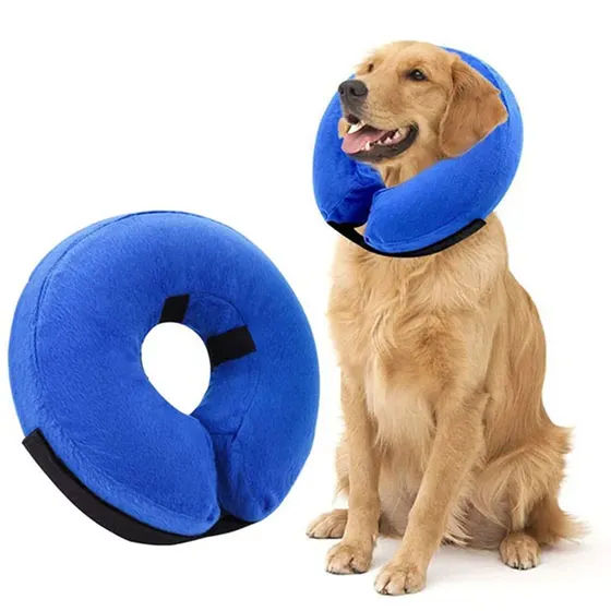 Blue inflatable dog neck collar shown as a product and worn by a golden retriever
