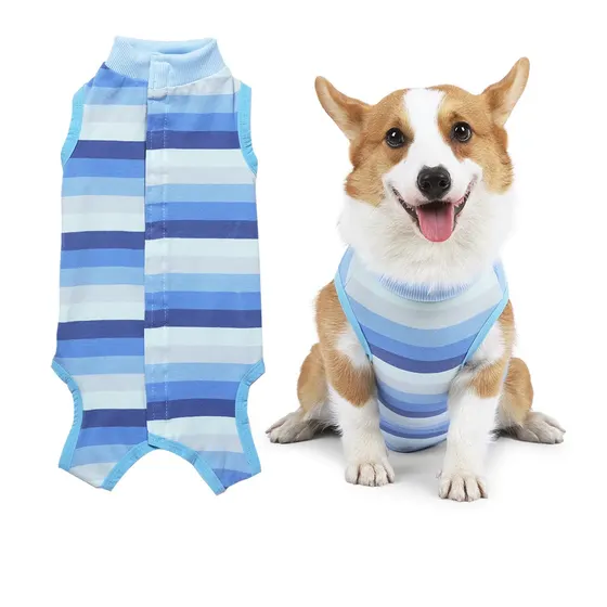 Blue striped dog shirt shown next to a corgi wearing the shirt