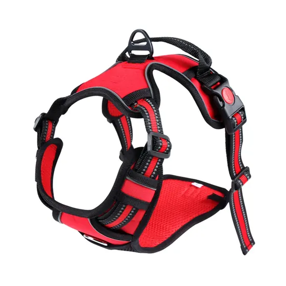 Red and black dog harness with mesh padding and adjustable straps on a white background