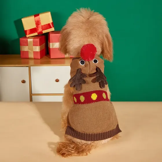 A brown poodle wearing a knitted chicken costume sits on a table near wrapped gifts.