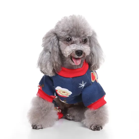 Gray poodle wearing a navy blue Christmas sweater with red trim and snowflake patterns