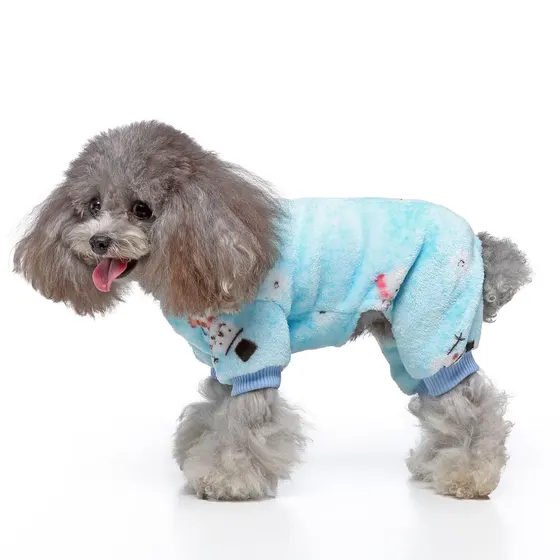 Grey poodle wearing light blue fleece pajamas
