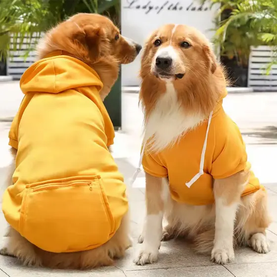 Two dogs sitting outdoors wearing matching yellow hoodies with white drawstrings.