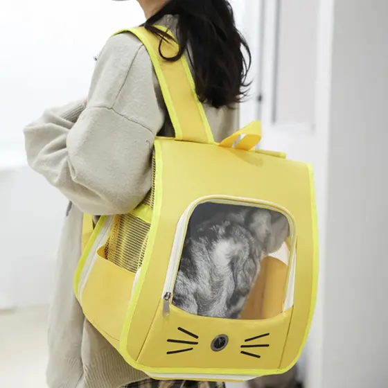 A person wearing a yellow pet carrier backpack with a cat visible through the front window.