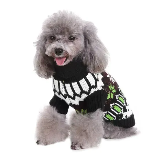 Grey poodle wearing a black, white, and green patterned knitted sweater on a white background