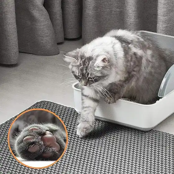 A fluffy grey cat steps out of a white litter box onto a textured grey honeycomb mat.