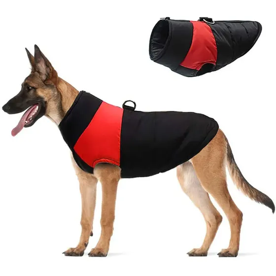 A German Shepherd wearing a black and red coat with a matching product inset on a white background