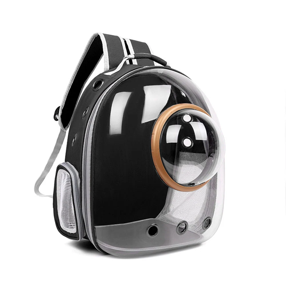 Clear transparent bubble backpack with black straps and ventilation holes.