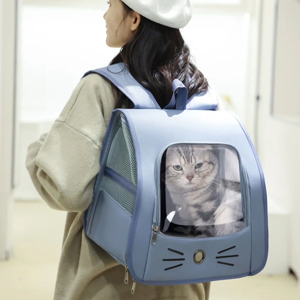 Woman wearing a light blue cat backpack with a clear window showing a cat inside