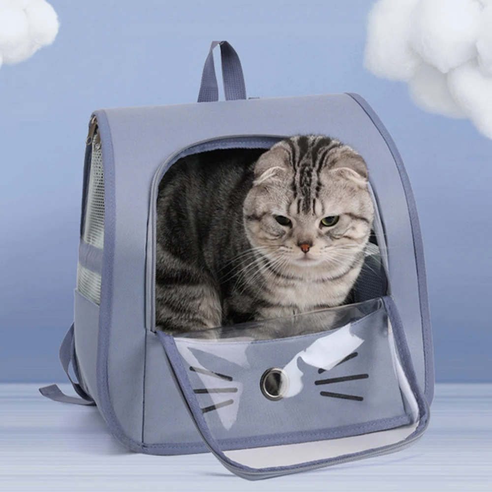 Grey tabby cat inside a light blue pet carrier backpack with a clear front window.