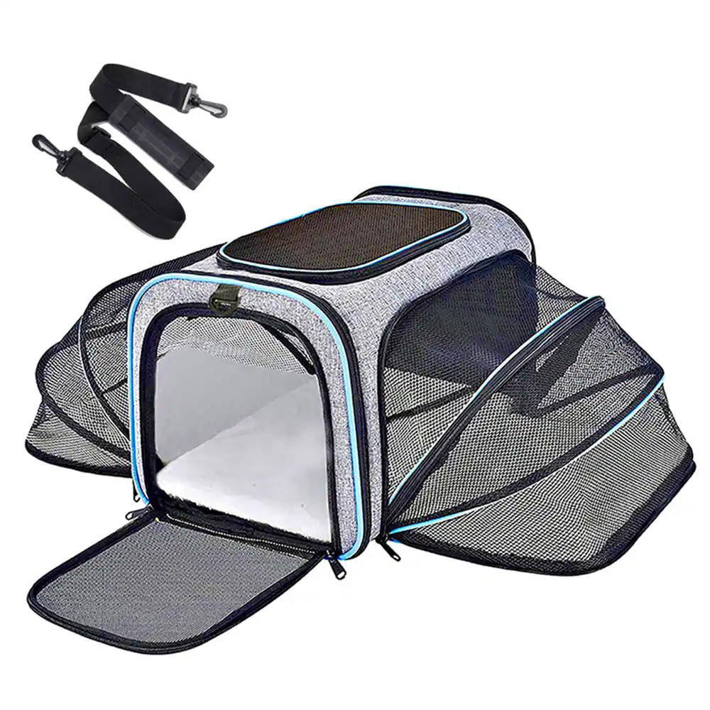 Foldable gray mesh pet carrier with blue trim, shown extended, alongside a detachable black strap.