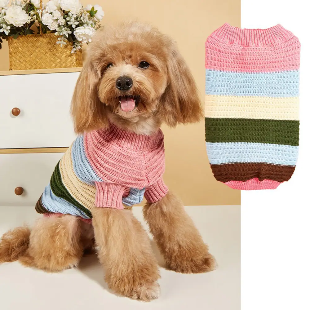 A poodle wearing a striped knitted sweater, with a product-only view of the garment next to it.