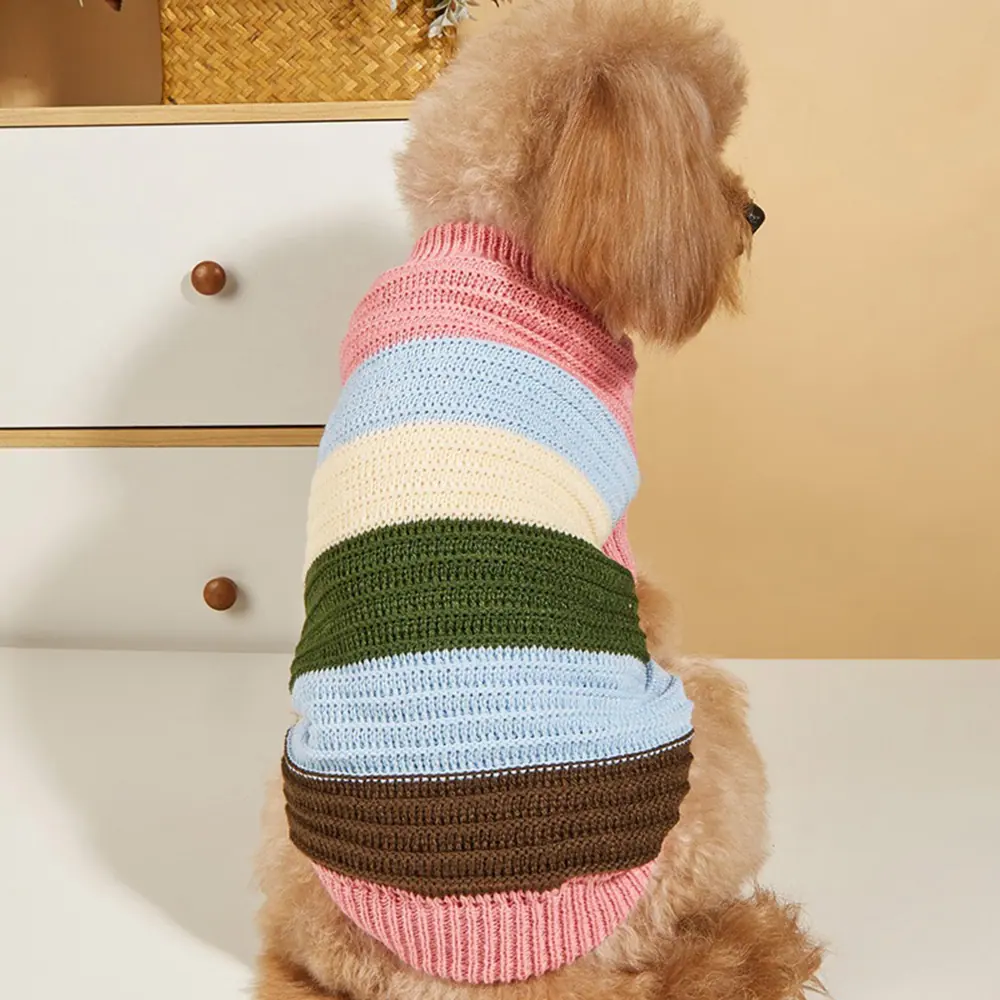 A poodle wearing a multi-colored striped knitted sweater.