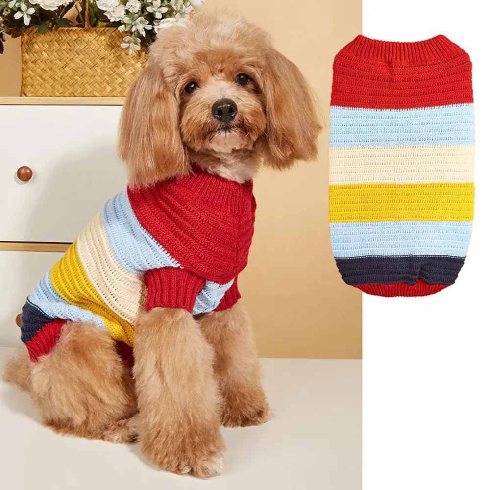 Brown poodle wearing a striped knitted sweater with a product inset on the right.