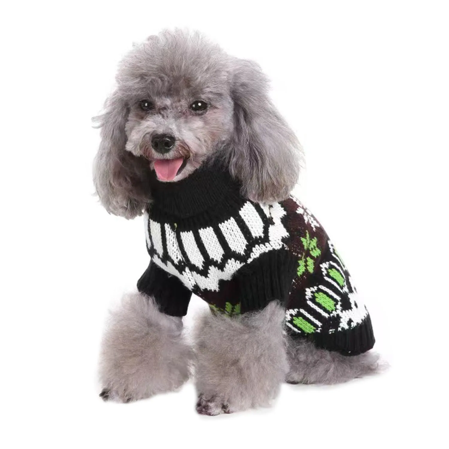 Grey poodle wearing a black, white, and green patterned knitted sweater on a white background