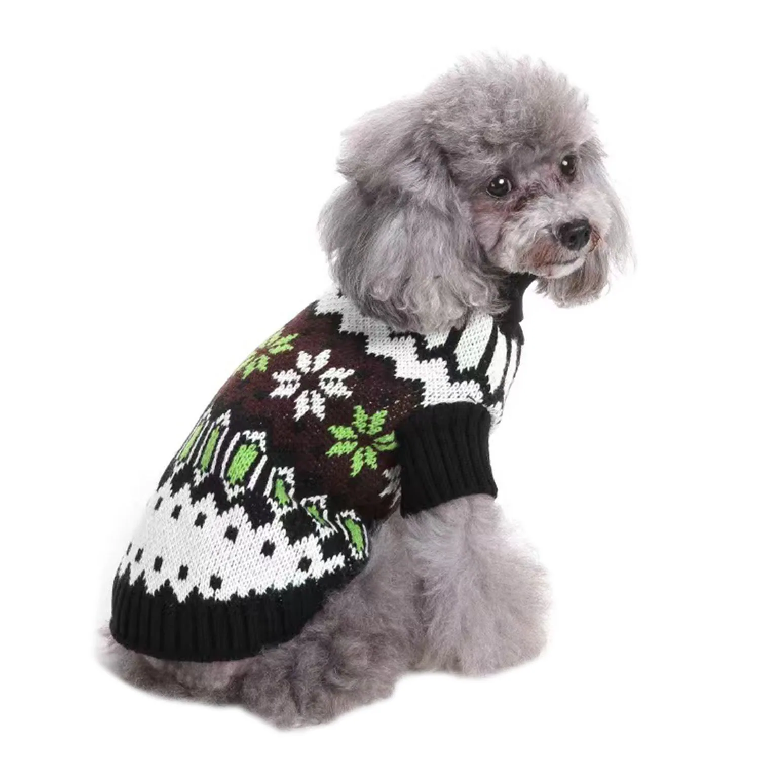 Gray poodle sitting wearing a knitted sweater with a brown, white, and green pattern.