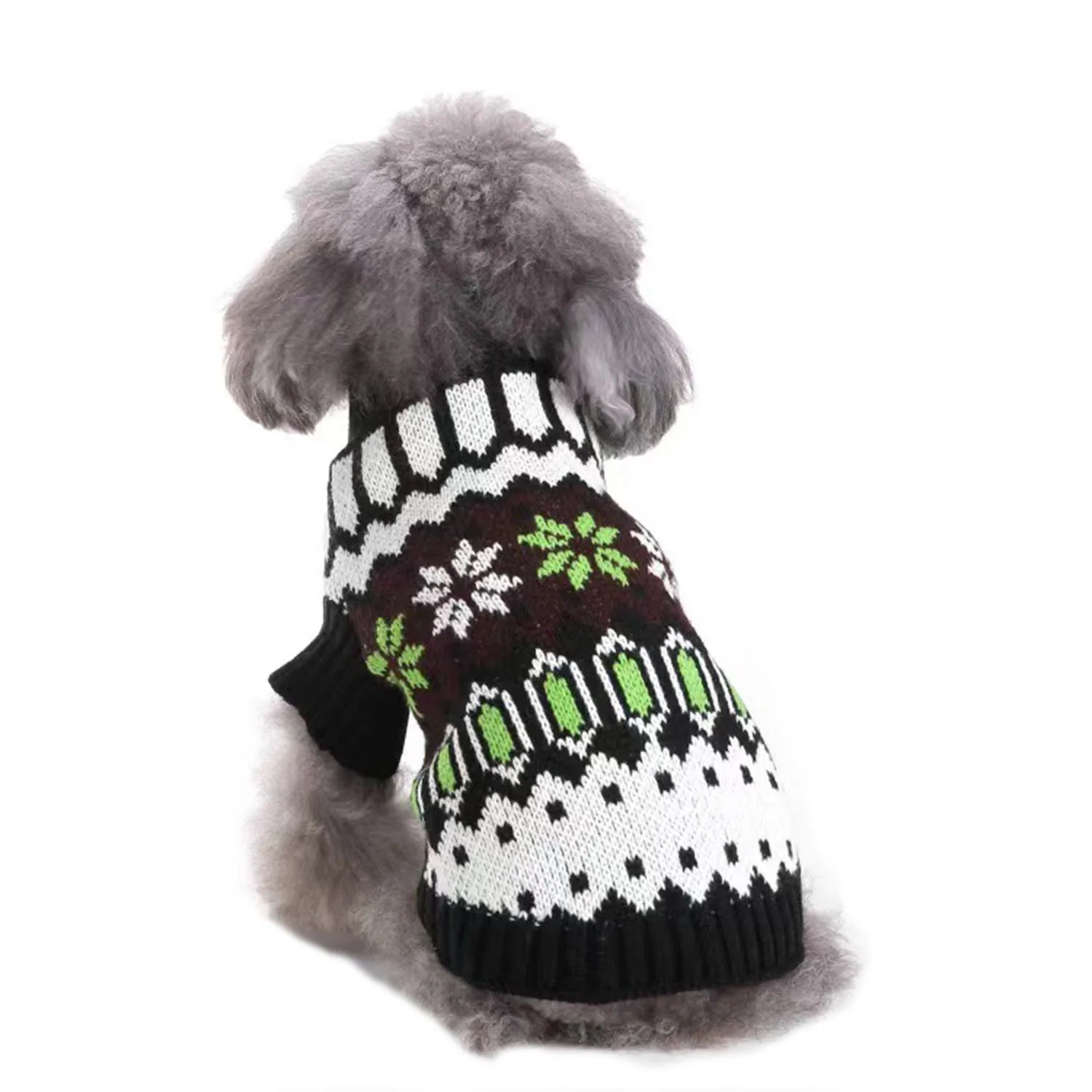 Rear view of a gray poodle wearing a knitted sweater with green and white geometric patterns