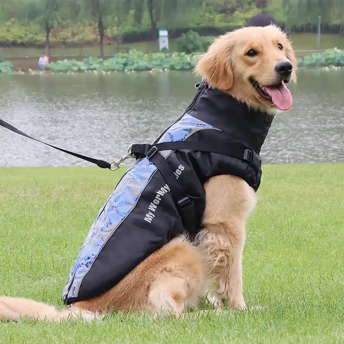 A golden retriever wearing a black and blue patterned dog life jacket sitting on grass near a lake.