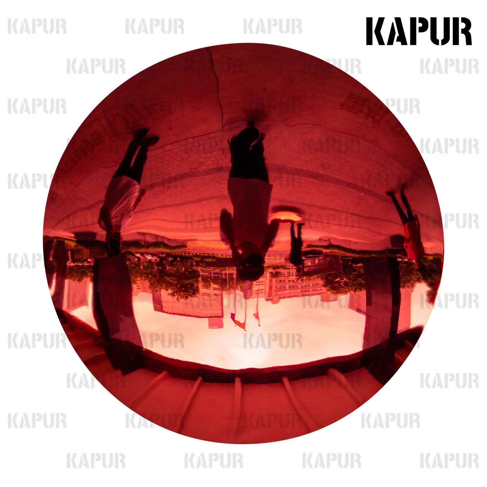 Stainless steel wall decoration made by Kapur Sculpture