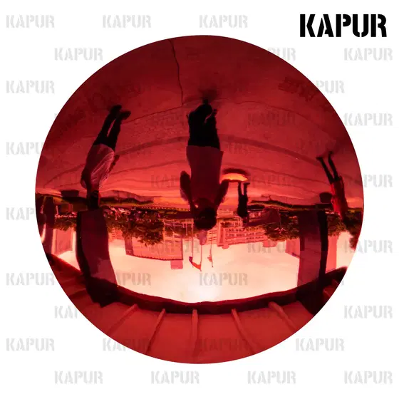 Stainless Steel Wall Decorations made by Kapur Sculpture