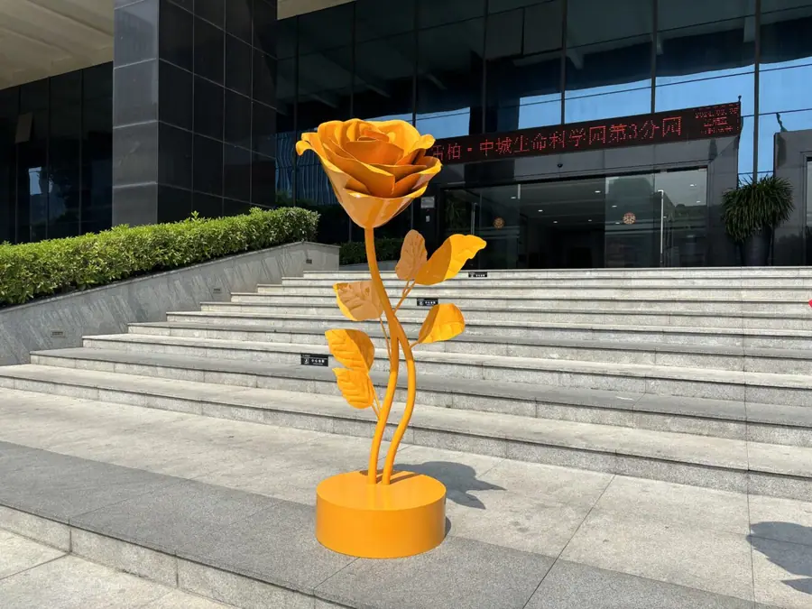 roses (8)