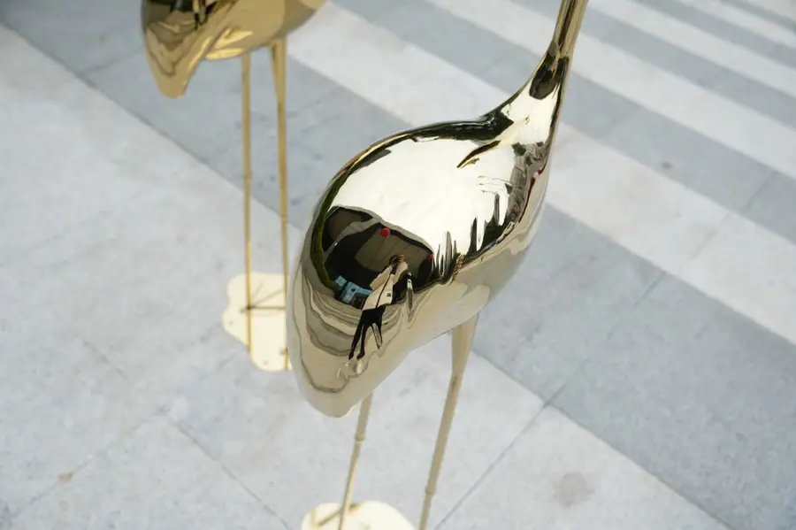 flamingos