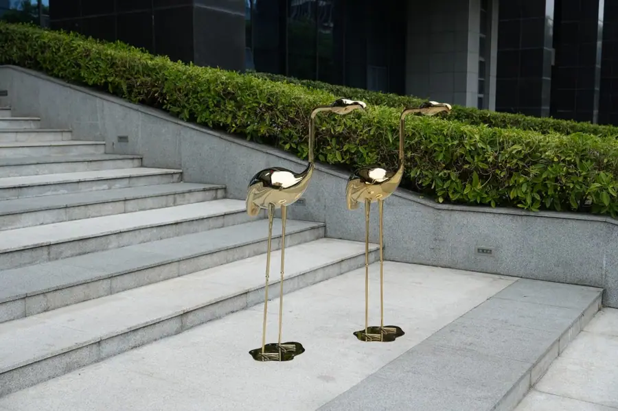 flamingos