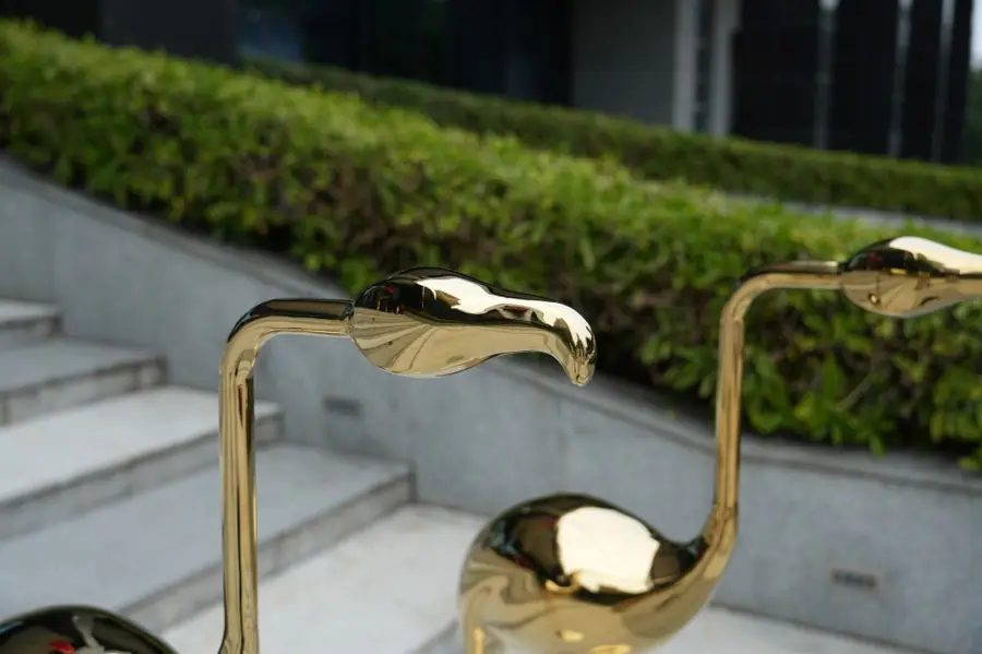 flamingos