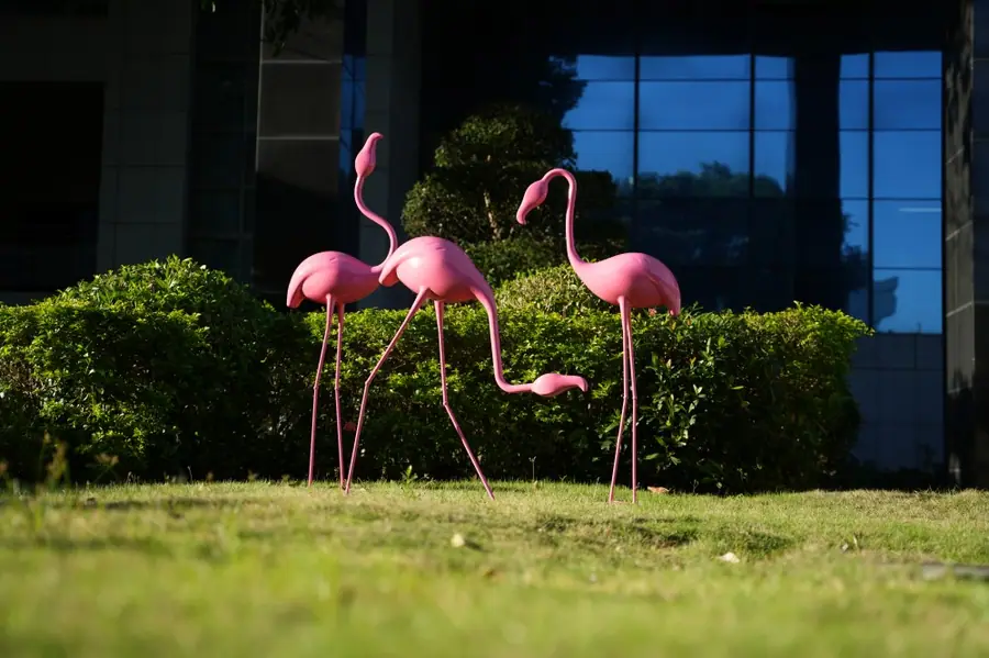 flamingos