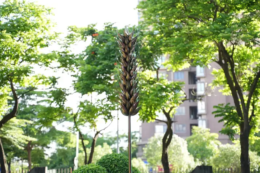 wheat ear