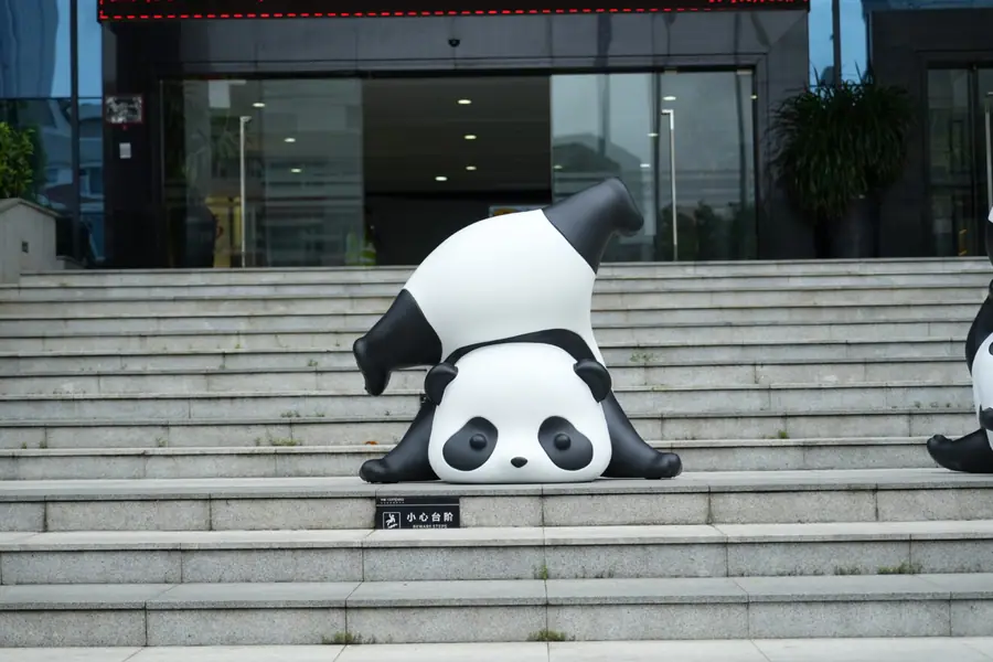 panda