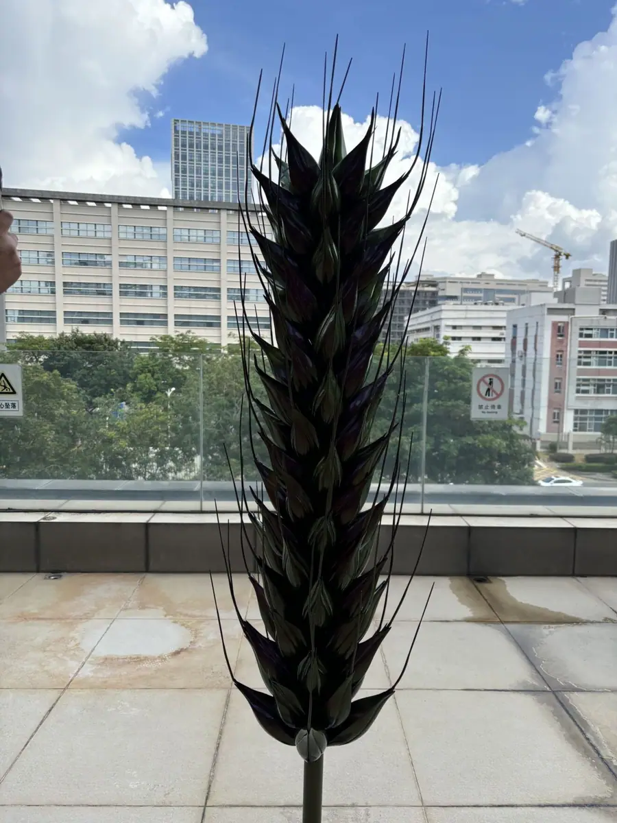 Modern Wheat Spike Decoration