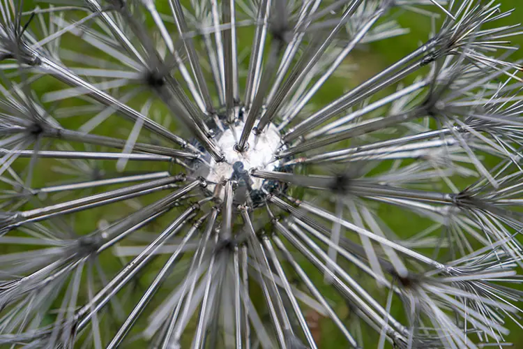 dandelion sculpture
