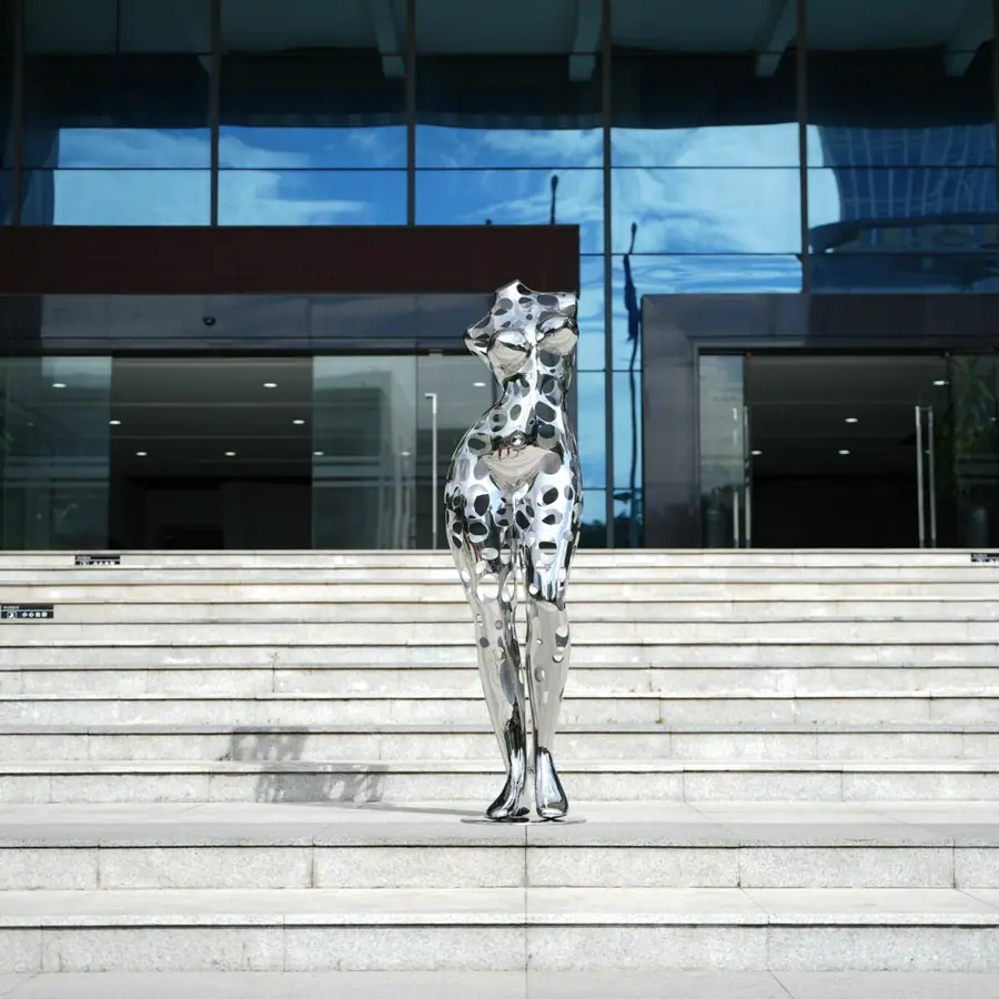 Ms. Stainless Steel: A Symbol of Toughness for the Modern Woman