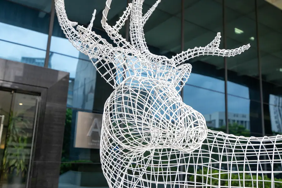deer