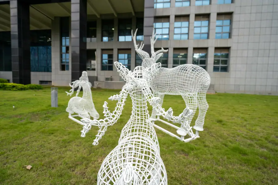 deer