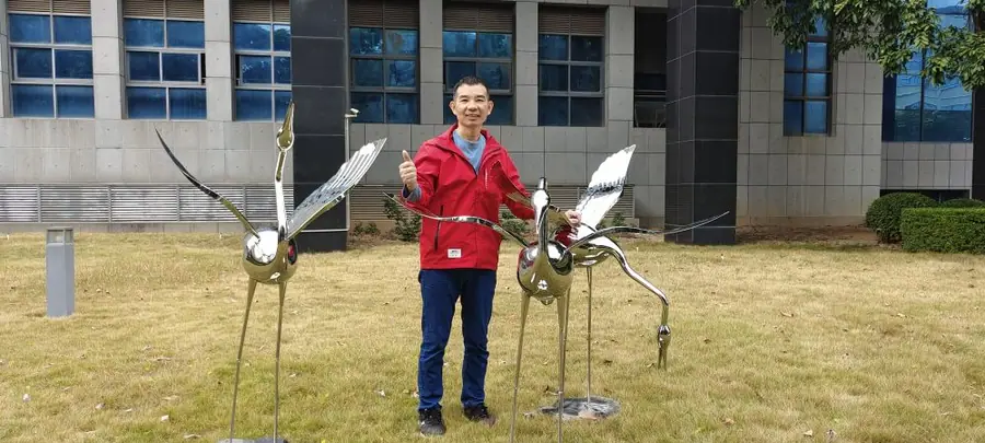 Stainless steel cranes