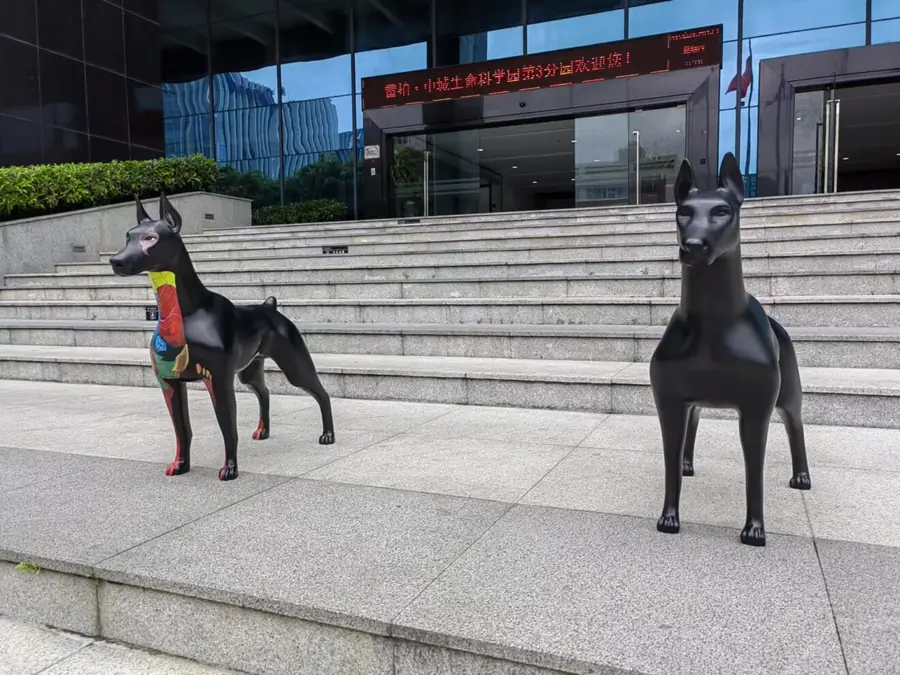 Stainless steel dog sculpture (4)