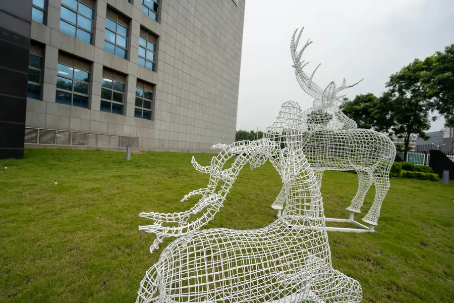 deer