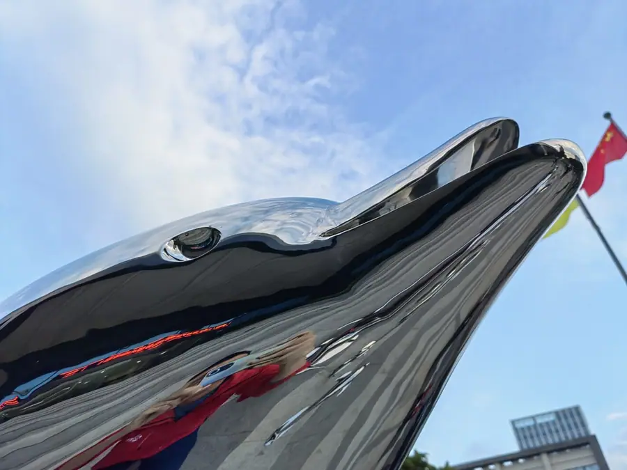 stainless steel dolphin sculpture (39)