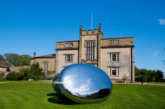 Stainless Steel Egg