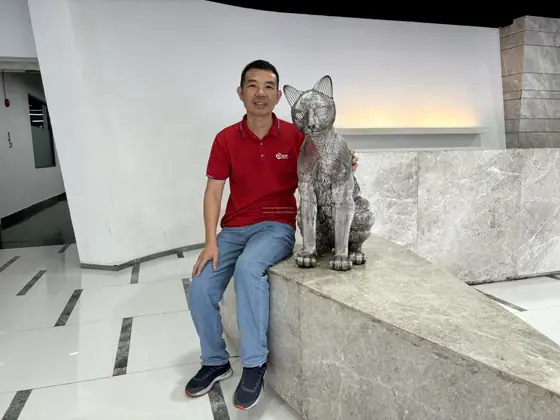 My Journey of Stainless Steel Sculptures