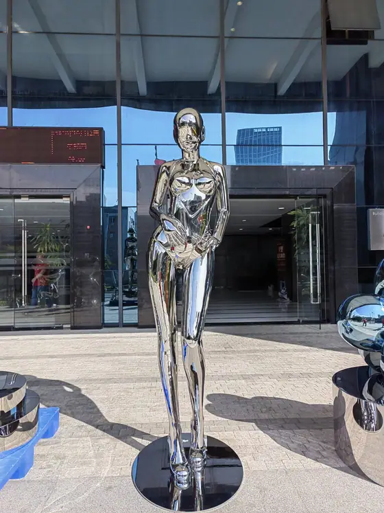 Ms. Stainless Steel: A Symbol of Toughness for the Modern Woman