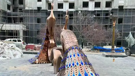 stainless steel peacock sculpture